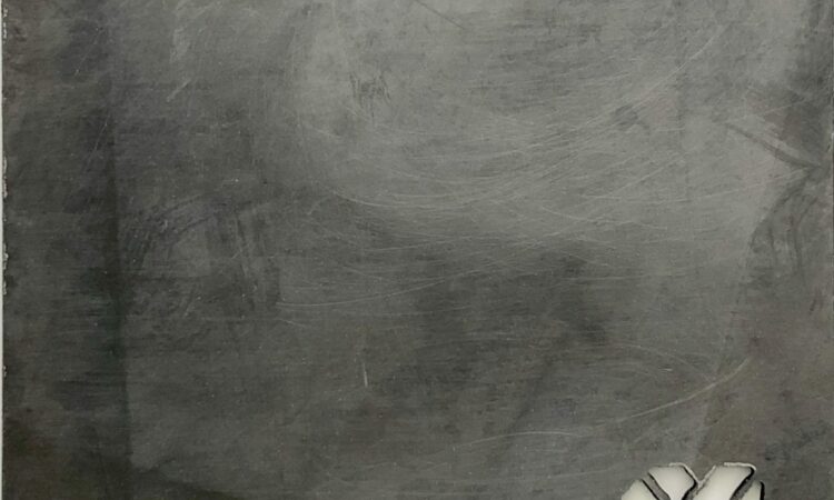 ACCIAIO INOX- Finitura RAW BURNISHED